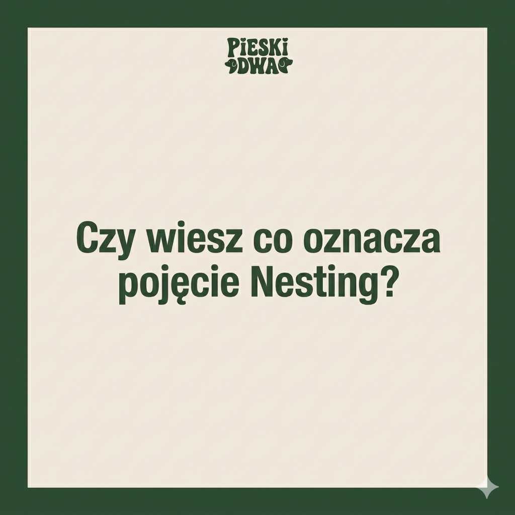 Dlaczego pies drapie legowisko przed snem? Poznaj instynkt nestingu 🐕⛏️