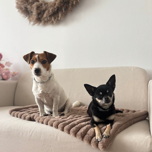 Kocyk dla psa kota futerko prążki Cappuccino