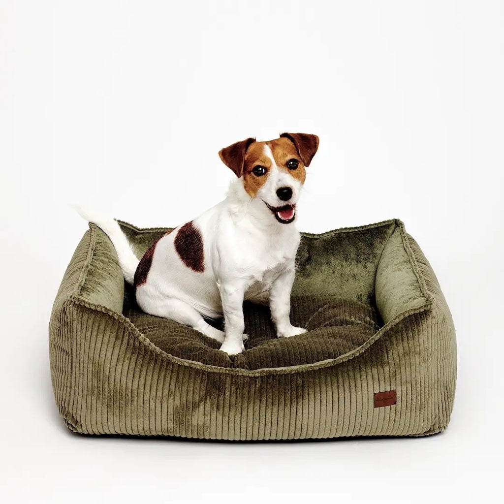 legowisko dla psa jack Russell terrier sztruks kanapa