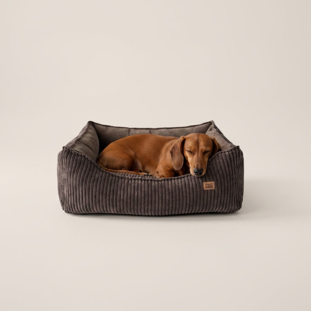 legowisko dla psa sztruksowe brązowe pieski dwa